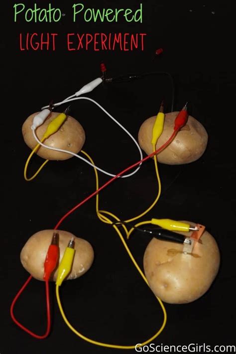 DIY Potato Battery: Potato Light bulb Science Fair Project.